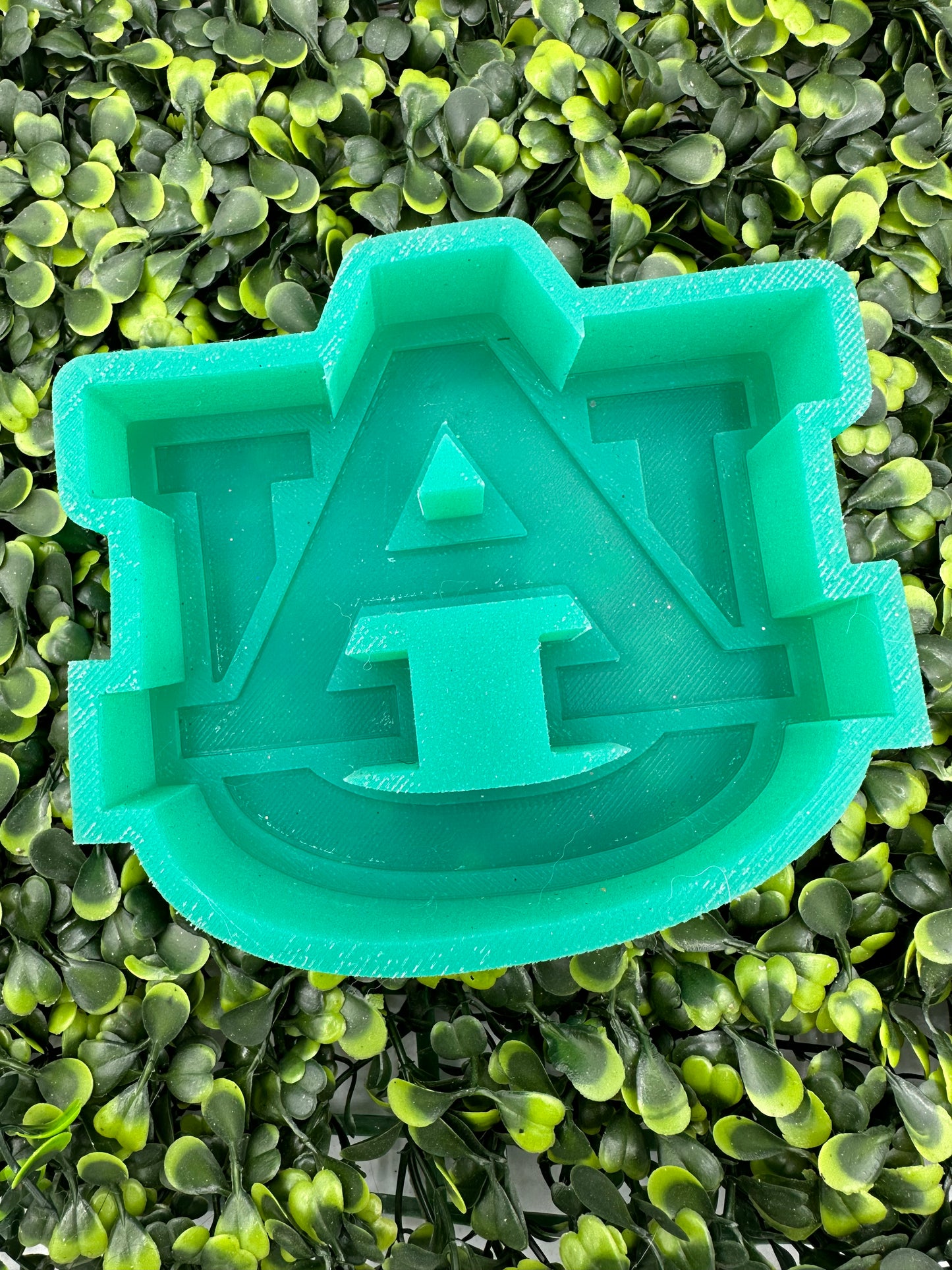 Auburn Silicone Mold